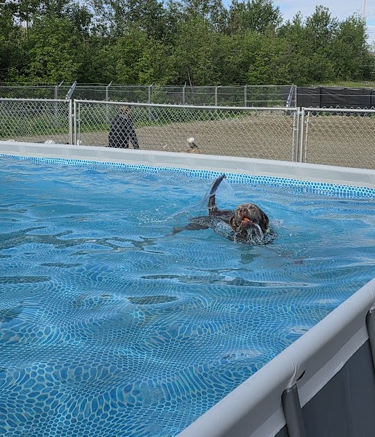 35' Pool